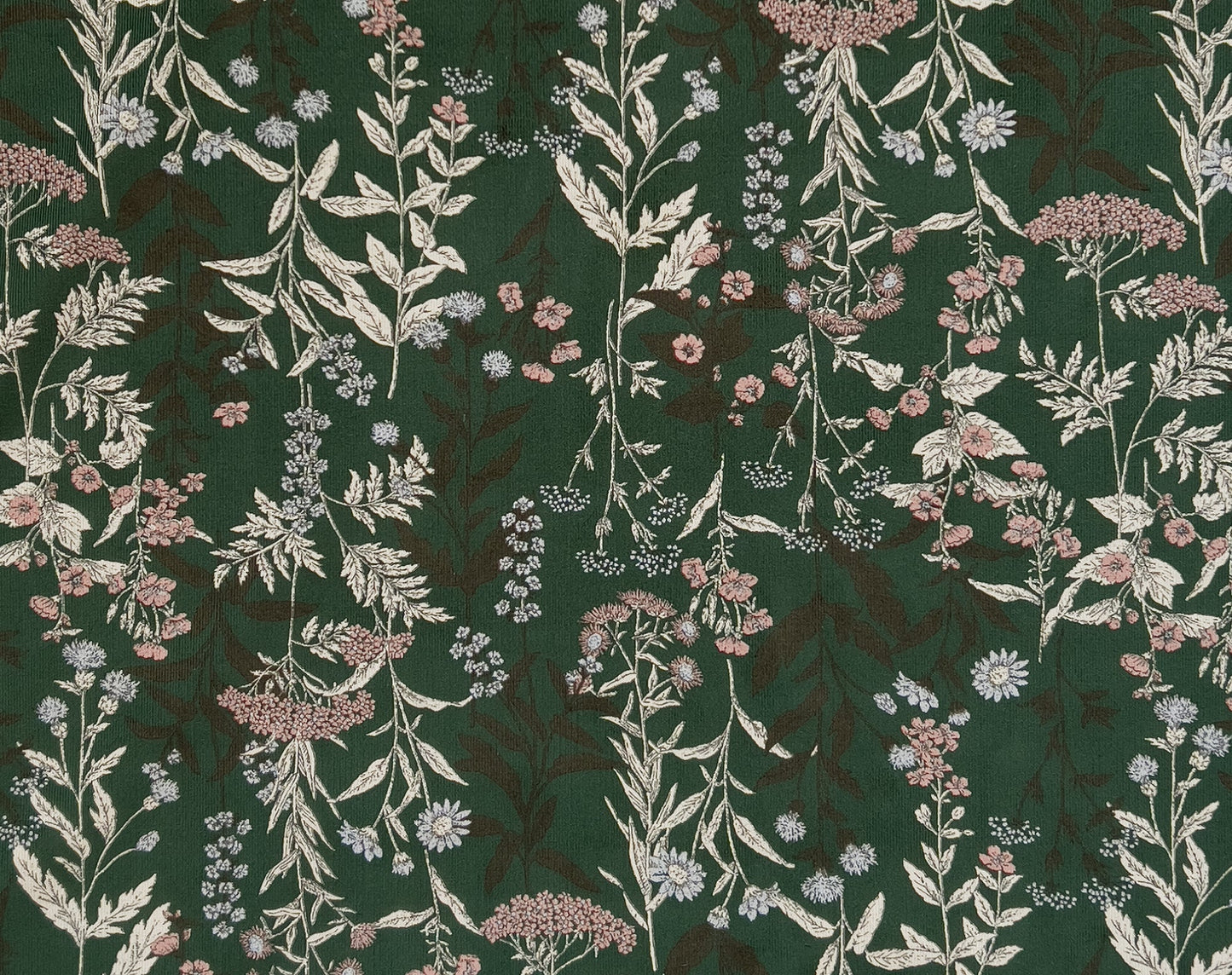 Remnant of Japanese Corduroy Botanical by Hokkoh