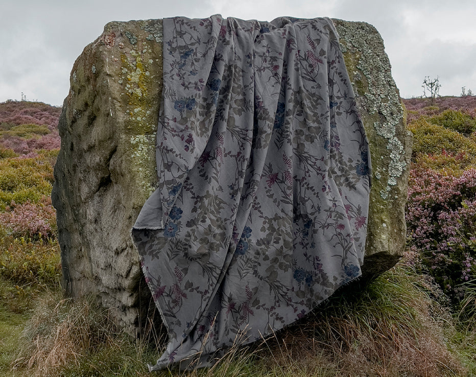 Remnant of Japanese Corduroy Daisy Trail by Hokkoh