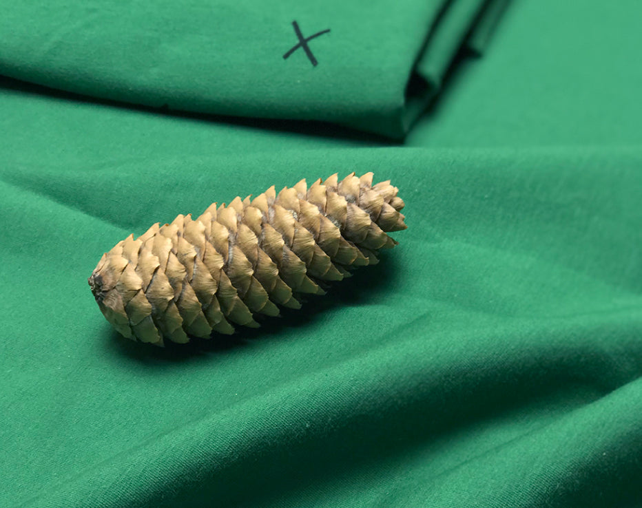 Solid Forest Green Organic Brushed Sweatshirt by Chat Chocolat