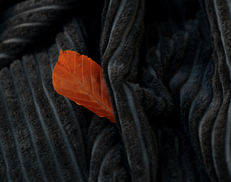 Wide Rib Corduroy Forest River by See You At Six